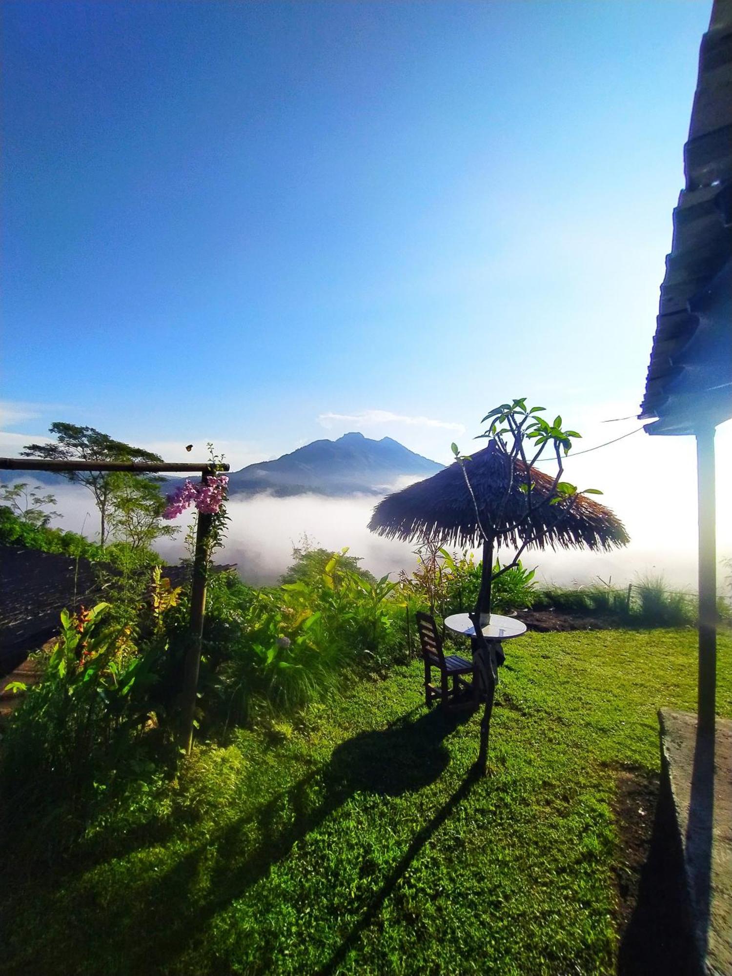 Kintamani Adventures 'Hide In Nature Lodge' Eksteriør bilde